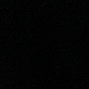 Meet your Posher, Ryley